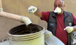 İstanbul Maltepe'de sivrisinek mücadelesi erken başladı