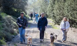 İzmir Büyükşehir'den 4 Nisan'da 'Satın Alma, Sahiplen' çağrısı