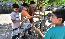 İzmir'de Doğal Yaşam Parkı öğrencilere ücretsiz olacak