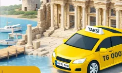 İzmir'in çevre ilçelerine 115 yeni taksi geliyor