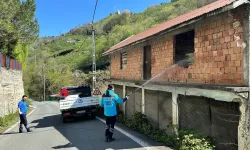 Kahverengi kokarcaya karşı Trabzon'da seferberlik