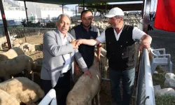 Kayseri Talas'ta kurban satış yeri belirlendi