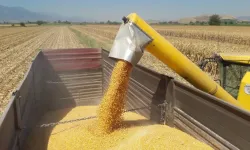 Mısır ithalatına 3 milyon tonluk tarife kontenjanı