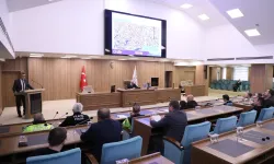 Ordu Altınordu'da bazı caddeler ücretli otopark oldu 