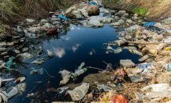 Prof. Dr. Ünüsan'dan mikroplastik uyarısı: Bitki bazlı çözümler umut veriyor ancak...