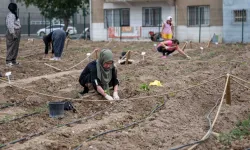 Avrupa'dan Bornova'ya kent bostanı incelemesi