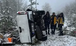 Elektrik arıza ekibi pikapla şarampole devrildi: 3 yaralı