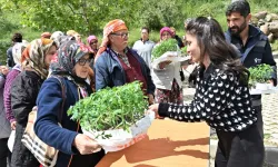İzmir Bornova'da 150 bin yazlık sebze fidesi dağıtıldı