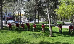 Kayseri Kocasinan'da açık alanlarda yoğun ilaçlama