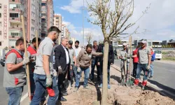 Kayseri Melikgazi'den yemyeşil atılım