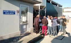 Kocaeli Büyükşehir Mezbahası'nda kurban kesim işlemi tamam