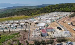 Kocaeli'nde sahipsiz köpeklere yeni yuva