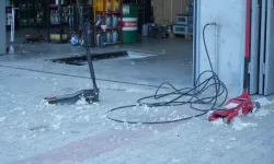 Ağrı'da kavak poleni için belediyeye önlem çağrısı!