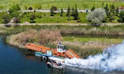 Başkent'te yaz dönemi ilaçlama seferberliği başladı
