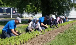 Bursa Osmangazi bu yaz çiçek kokacak