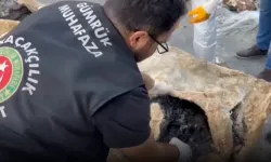 Gümrük Muhafaza'dan uyuşturucu kaçakçılarına rekor darbe... 3 yılda 109 ton uyuşturucu!