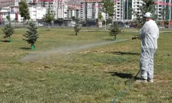 Malatya'da vektörel mücadele sürüyor