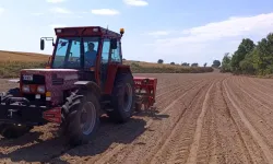 Sultanköy Kavunu'nda yeni sezon
