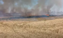 Uzunköprü'de buğday yangını korkuttu