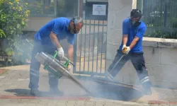 Antalya'da vektörel mücadele 4 koldan sürüyor