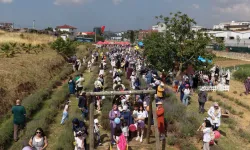 Çayırovalılar Lavanta Hasadı'nda buluştu