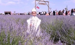 Konya Karatay'da Lavanta Bahçesi'nde festival hazırlığı
