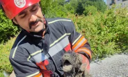 Malatya itfaiyesinden can dosta yardım eli