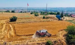 Tarımda baskısı artıyor