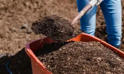 Tarımsal girdi verileri açıklandı... Gübre zam şampiyonu oldu