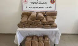 Yalova'da 160 kilogram bandrolsüz tütün ele geçirildi