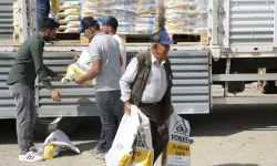 Ankara'da kanola üretimine Büyükşehir desteği