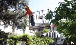 Bursa Osmangazi'de yeşil alanlara titiz koruma