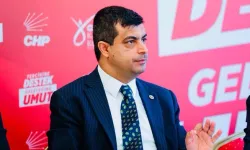 CHP'li Deniz Demir: Başka partinin paylaşımına yaptırım bellidir