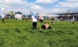 İpsala'da er meydanı coşkusu