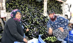 Manisa'da afetzede çiftçinin yüzü gülüyor