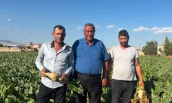 Ömer Fethi Gürer pancar üreticilerinden beklentilerini dinledi