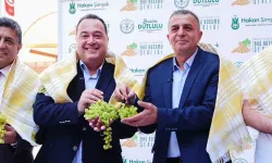 Üzümün başkenti Manisa bağbozumuna hazır