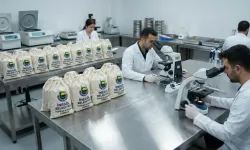 Bursa İnegöl'de toprağın röntgeni çekiliyor