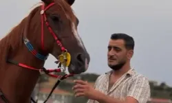 Edirne İpsala'da Arap atı sevgisini yaşatıyor