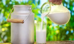 İçme sütlerinde yeni dönem... Sütte 'doğal' ibaresine sınırlama