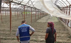 Muğla'da zarar gören üreticiye naylon desteği