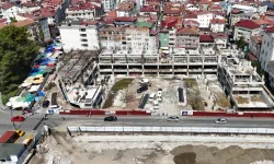 Ordu'da Millet Düzü Projesi ilerliyor