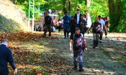 Sakarya 'Sonbahar Doğa Yürüyüşleri'ne yeniden başlıyor