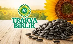 Trakya Birlik, ayçiçeğinde ön alım fiyatını açıkladı