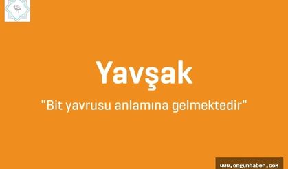 Sosyal Medya Sahtekarlığı Bu Sefer a Haber Televizyonunu Hedef Aldı