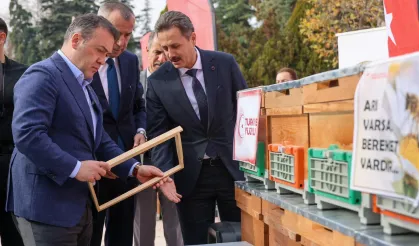 Bilecik'te arıcılara bin yeni kovan dağıtıldı