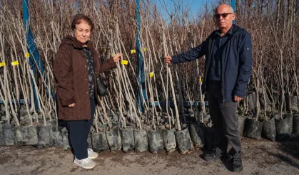 Kocaeli'nin fidan desteği meyvelerini veriyor