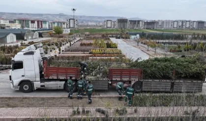 Kayseri Kocasinan'dan ağaç dikme rekoru