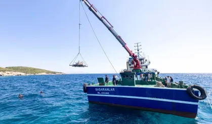 İzmir'de midye kabukları deniz yaşamına nefes olacak