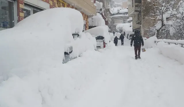 Artvin'de kar 217 köye ulaşımı kesti!